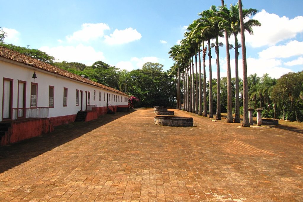 Terreiro de tijolos da Fazenda do Pinhal ao lado de uma construção comprida e térrea, com fileira de palmeiras imperiais