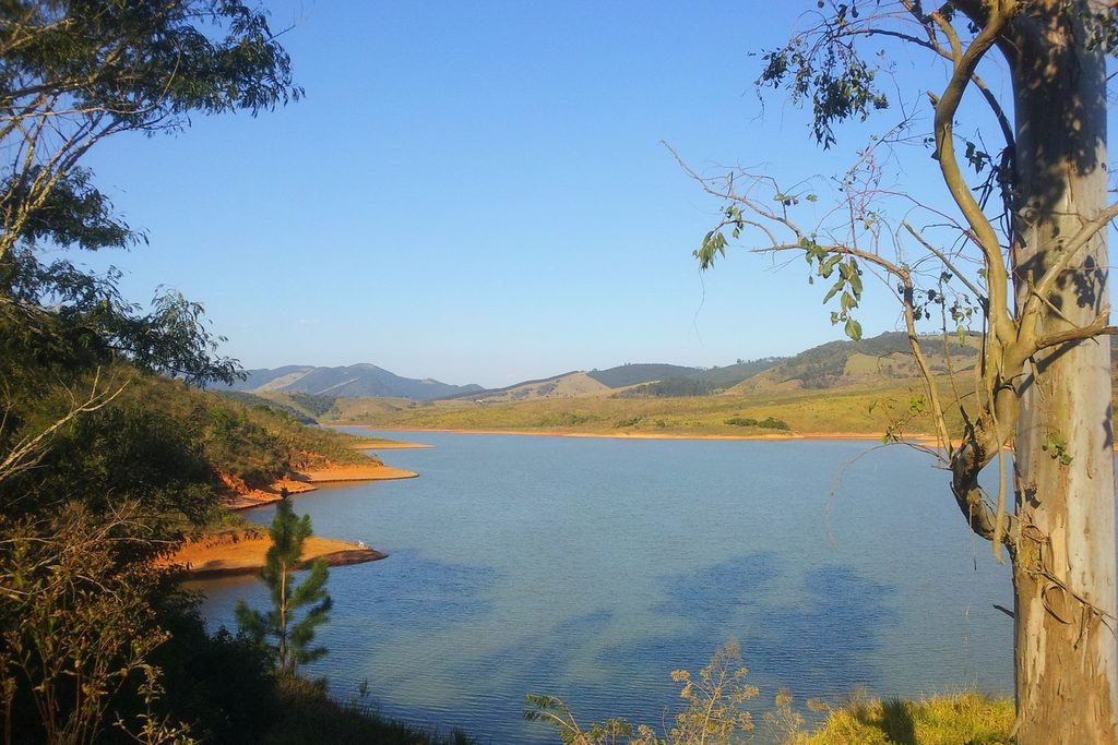 Represa de água azul entre morros verdes, com um eucalipto na margem e céu limpo
