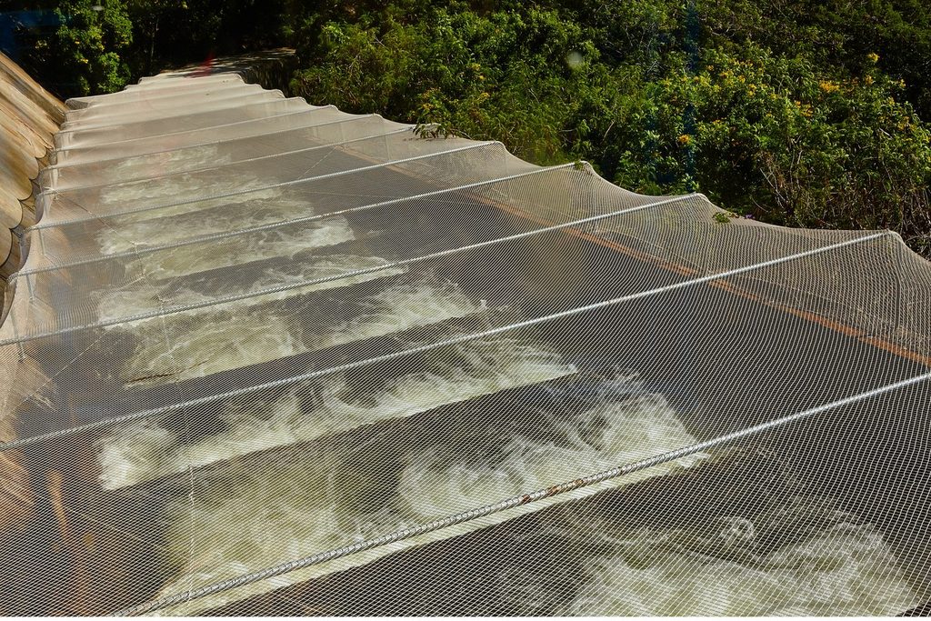 Degraus de concreto da escada de peixes com a água descendo em pequenas quedas, protegidos por uma tela