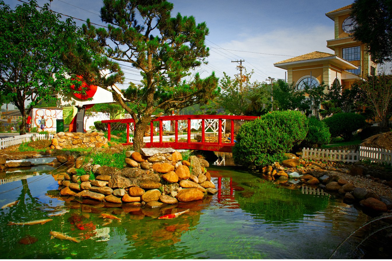 Jardim Oriental de Ribeirão Pires com lago de carpas, pedras, pinheiro e ponte vermelha em estilo japonês