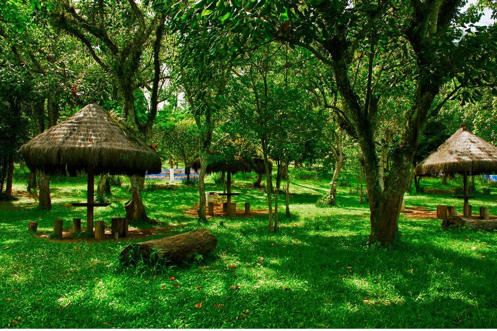 Gramado com árvores e quiosques de sapê no Parque Municipal Milton Marinho de Moraes