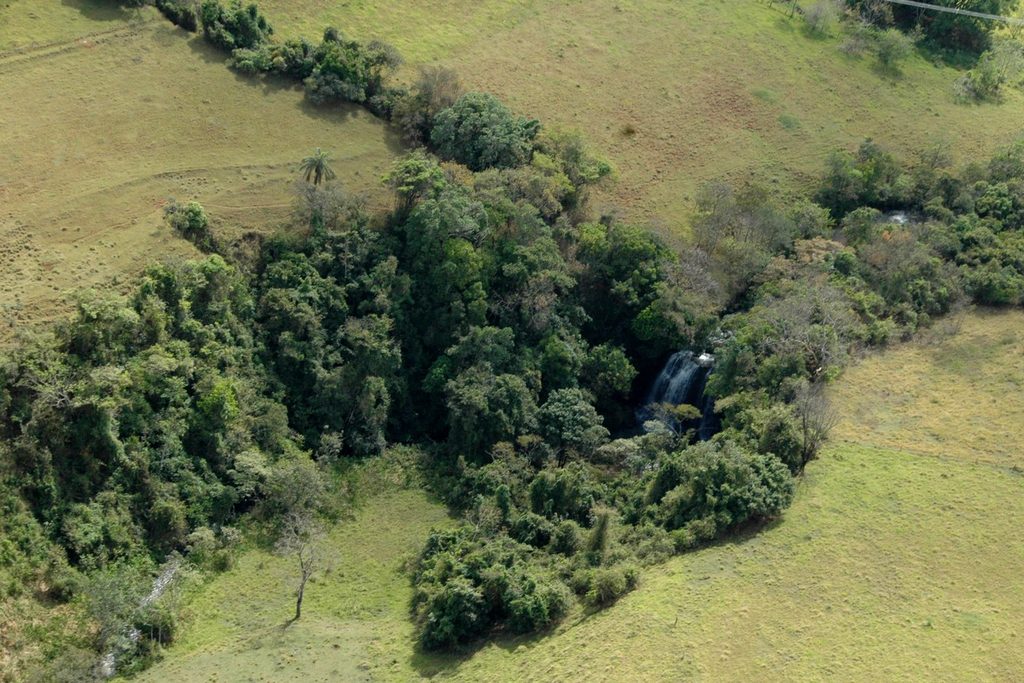 Vista aérea de uma pequena cachoeira escondida num capão de mata entre pastos verdes, na zona rural de Rifaina