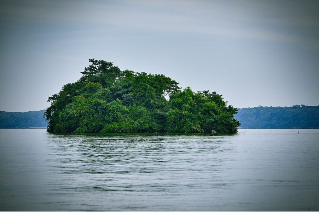 Ilha de vegetação densa no meio do Rio Paraná, sob céu nublado