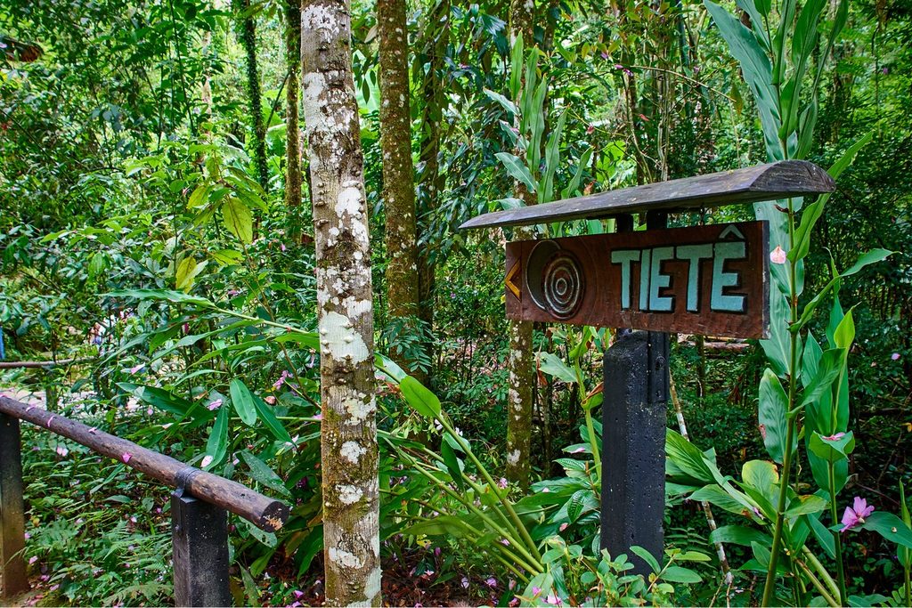 Placa de madeira com o nome Tietê na trilha do Parque Nascentes do Tietê, em Salesópolis, no meio da Mata Atlântica