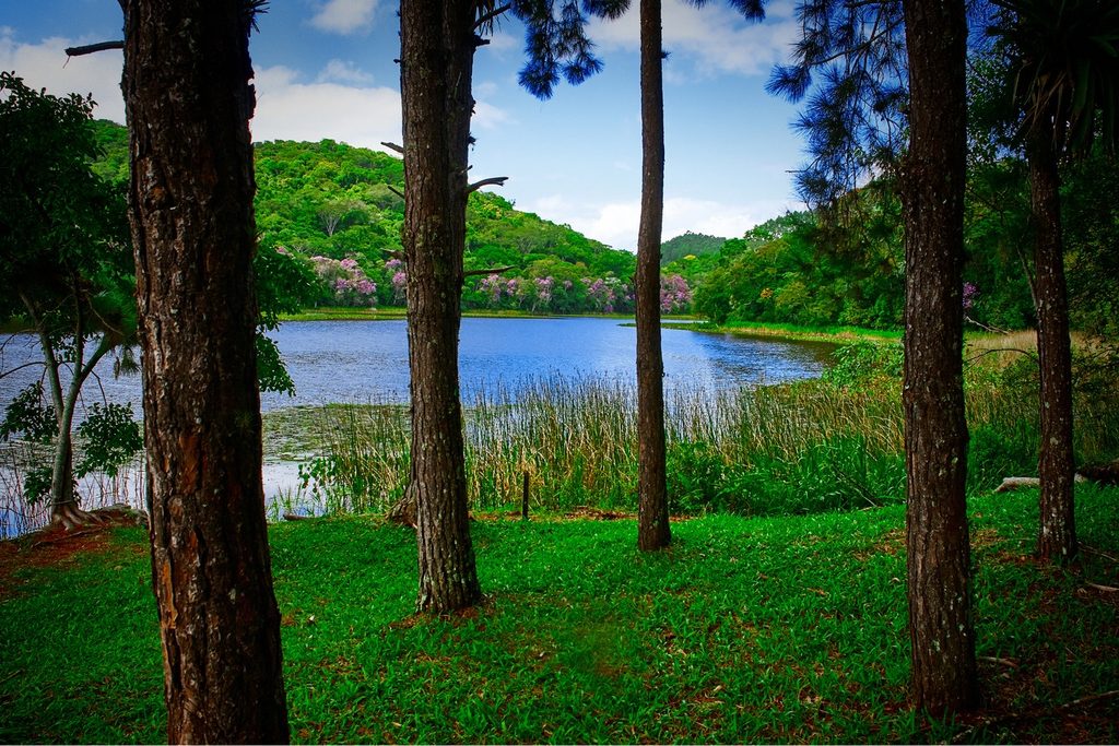 Lago cercado de mata e pinheiros no parque do Museu da Energia de Salesópolis, com morros verdes ao fundo