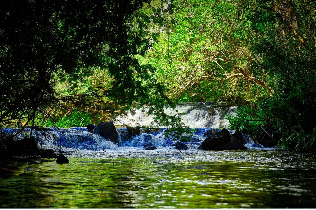 Pequena queda d'água entre pedras e mata fechada na Cachoeira do Deosdédi, com o rio verde em primeiro plano