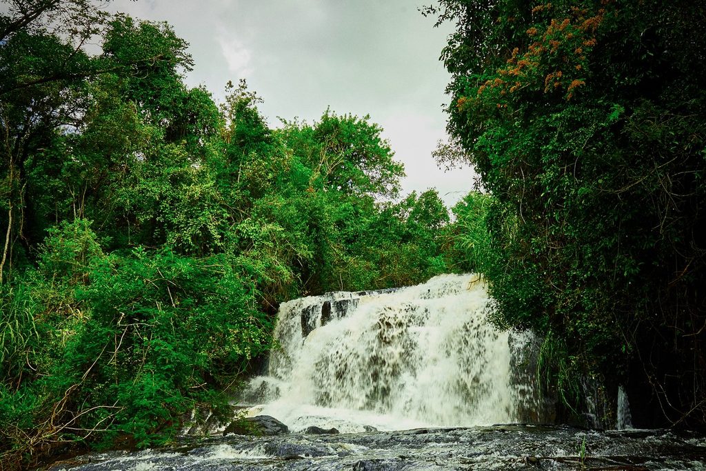 Queda d'água da Cachoeira do Baú, em Santo Antônio da Alegria, descendo sobre pedras escuras no meio da mata
