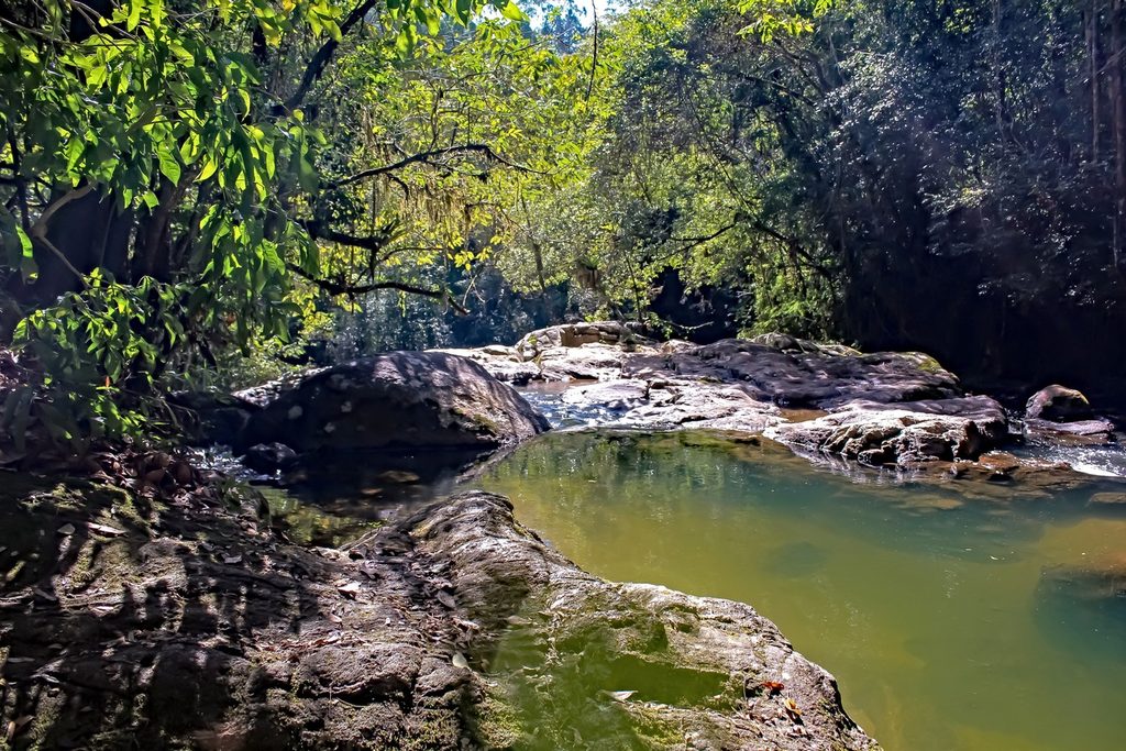 Poço de água verde entre lajes de pedra e mata, no rio da Cachoeira Pedro David