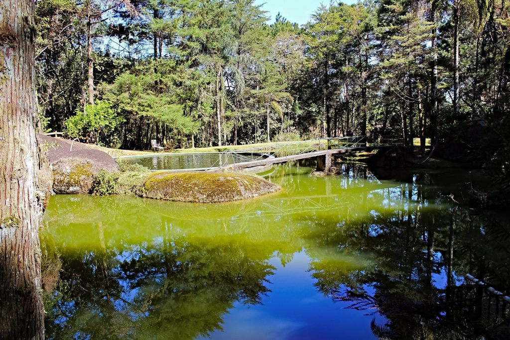 Lago verde refletindo o céu e um bosque de pinheiros, com pedras cobertas de musgo e uma pontezinha de madeira