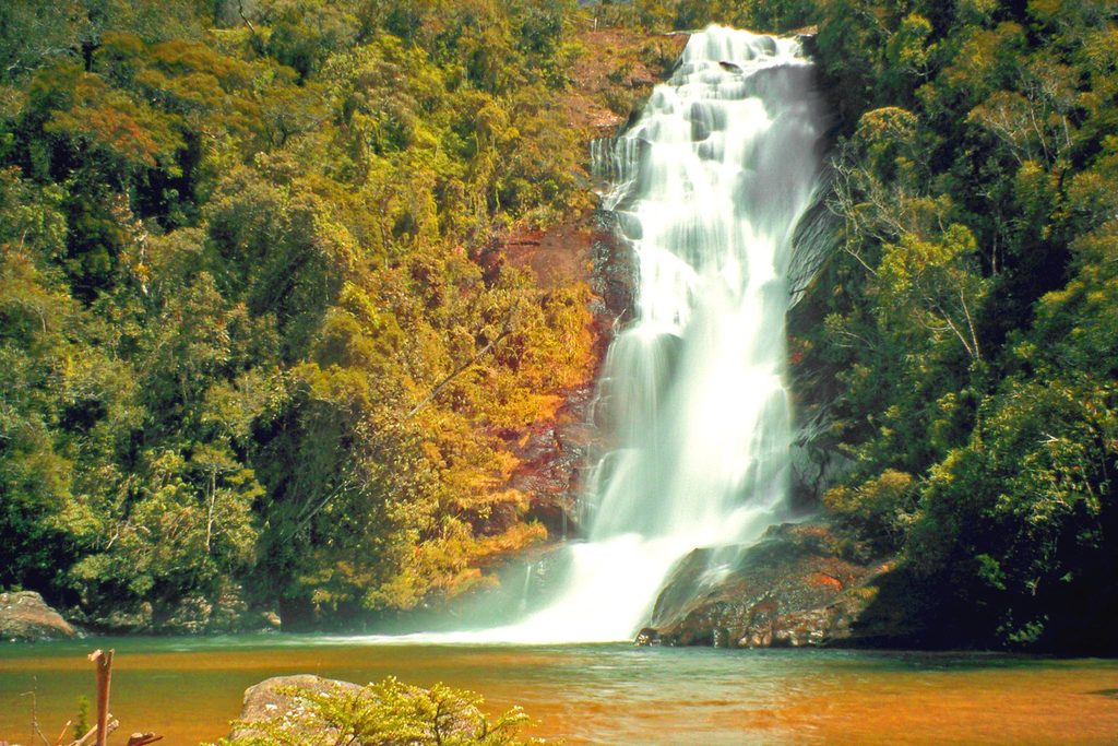 Cachoeira alta e branca caindo entre a mata num poço, a Cachoeira Santo Isidro, no Parque Nacional da Serra da Bocaina