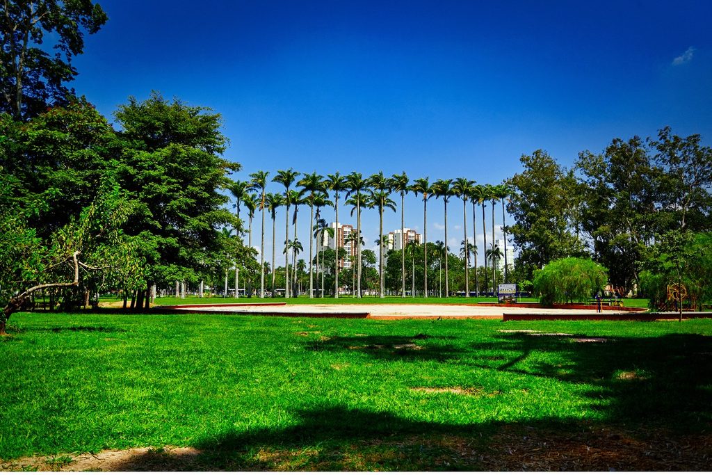 Gramado e fileira de palmeiras-imperiais no Parque da Cidade Roberto Burle Marx, em São José dos Campos