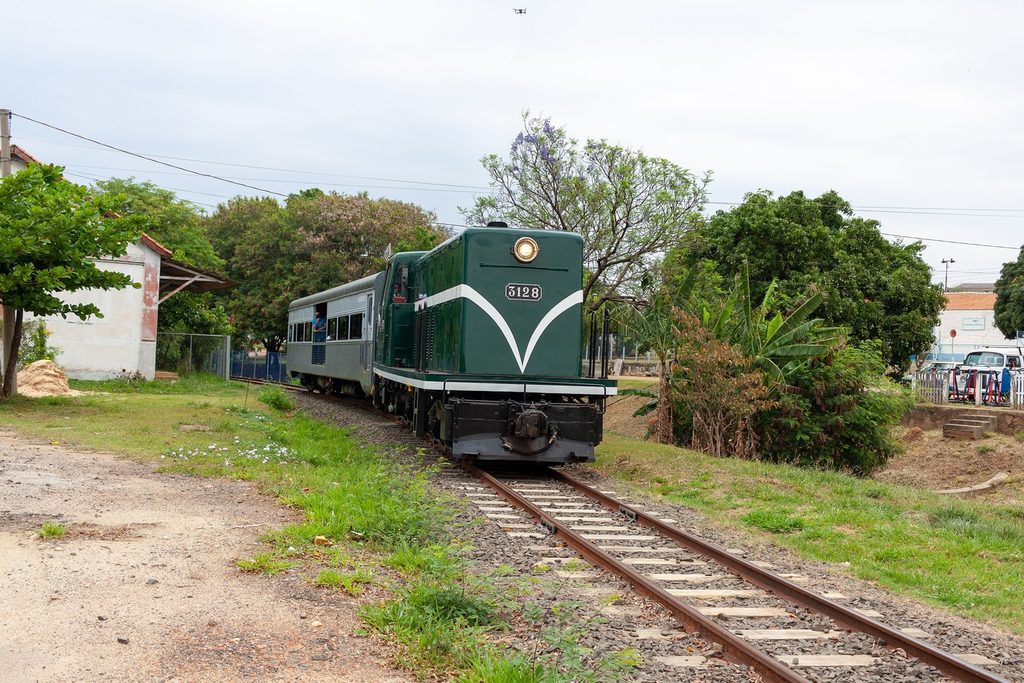 Locomotiva verde puxando vagões prateados nos trilhos entre árvores e gramado, saindo da estação