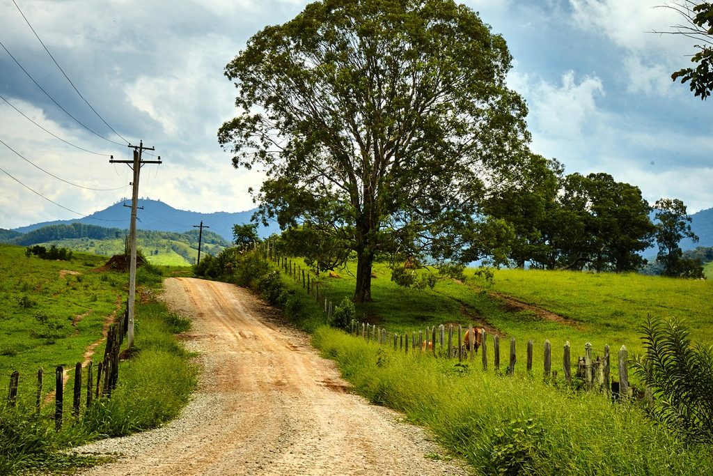 Estrada de terra entre cercas e pasto verde, com uma árvore grande e morros ao fundo, na zona rural de Tremembé