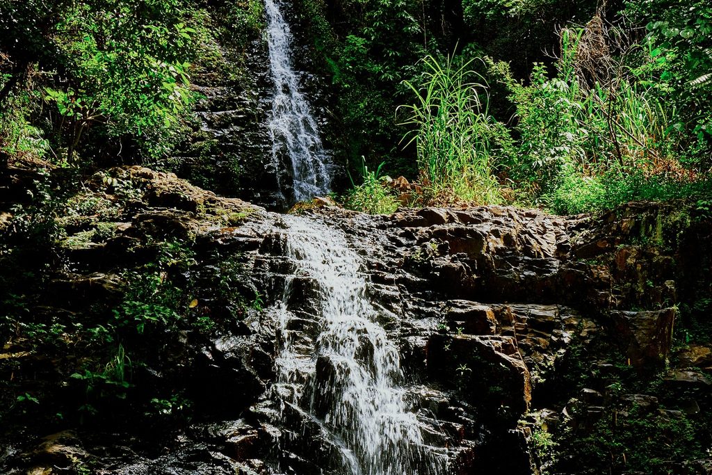 Cachoeira caindo em degraus sobre pedras escuras no meio da mata fechada, na Cachoeira 3 Quedas